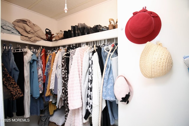 view of walk in closet