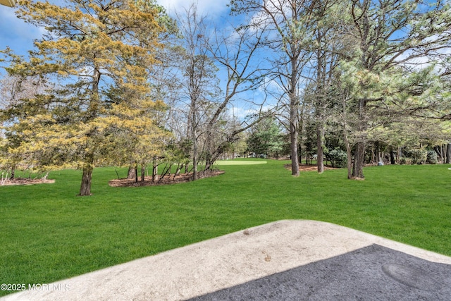 1905 Cherryvale Ct, Toms River, NJ 08755 - view of grassy yard