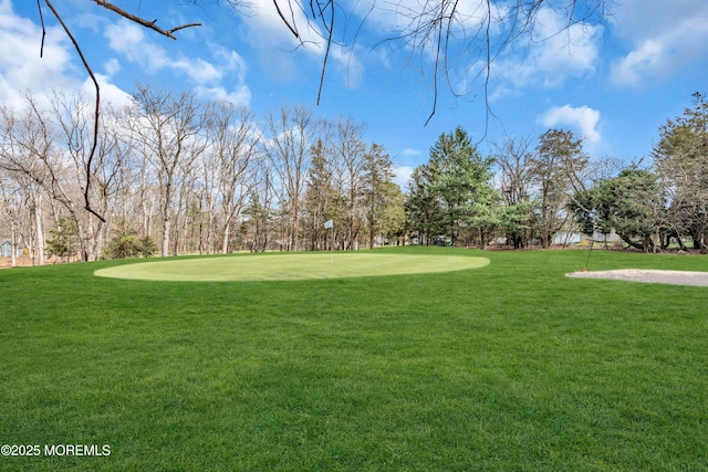 1905 Cherryvale Ct, Toms River, NJ 08755 - surrounding community with a lawn