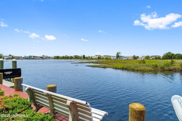 54 Cedar Island Dr, Brick, NJ 08723 - photo 73