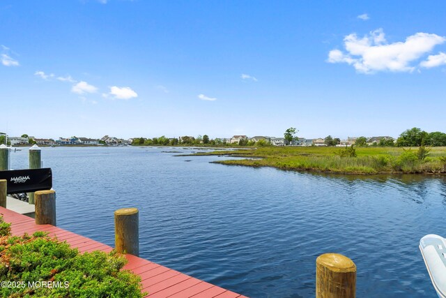 54 Cedar Island Dr, Brick, NJ 08723 - photo 74