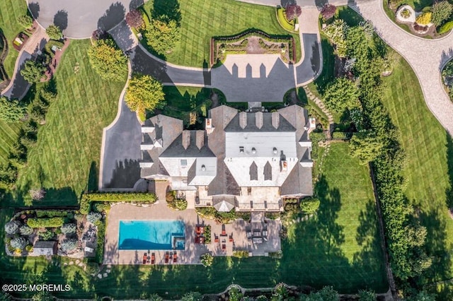 bird's eye view