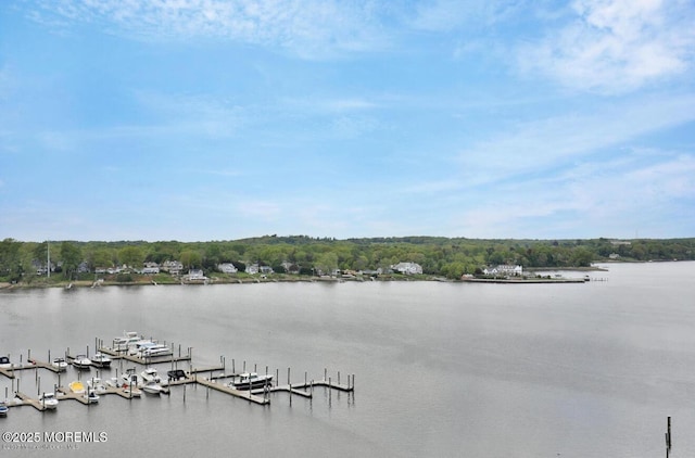 28 Riverside Ave Unit 4H, Red Bank, NJ 07701 - view of water feature with a dock