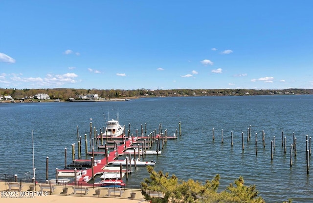 28 Riverside Ave Unit 4H, Red Bank, NJ 07701 - dock area with a water view