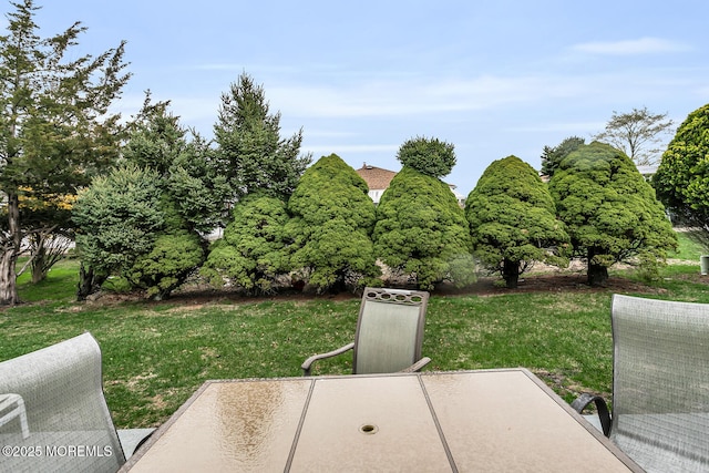 view of yard featuring a patio area