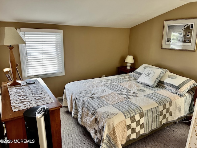 127 8th Ave, Seaside Park, NJ 08752 - bedroom featuring dark carpet and lofted ceiling