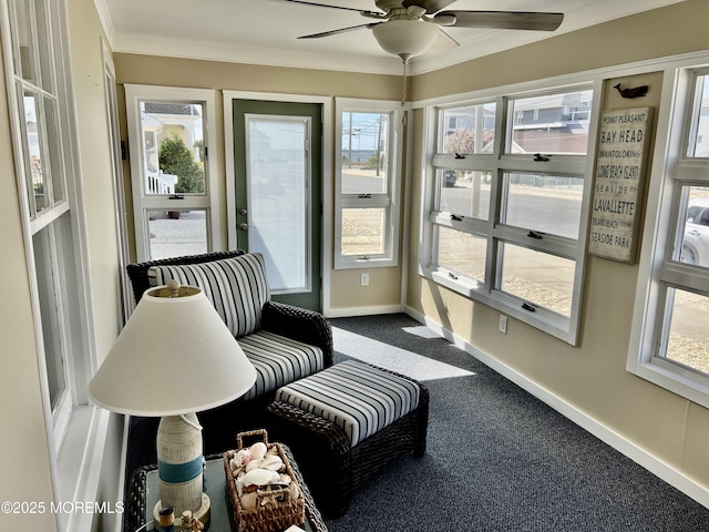 127 8th Ave, Seaside Park, NJ 08752 - sunroom with ceiling fan, baseboards, carpet flooring, and crown molding
