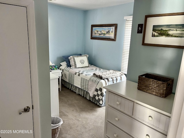 127 8th Ave, Seaside Park, NJ 08752 - bedroom with light colored carpet