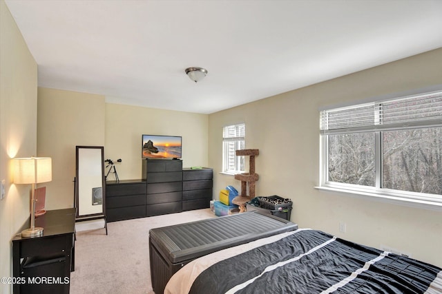 bedroom with carpet floors