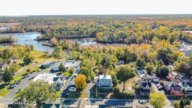 6056 Main St, Hamilton, NJ 08330 - bird's eye view featuring a wooded view and a water view