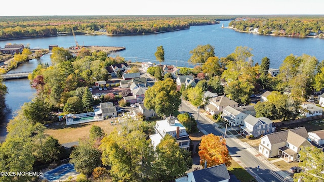 6056 Main St, Hamilton, NJ 08330 - bird's eye view with a view of trees and a water view