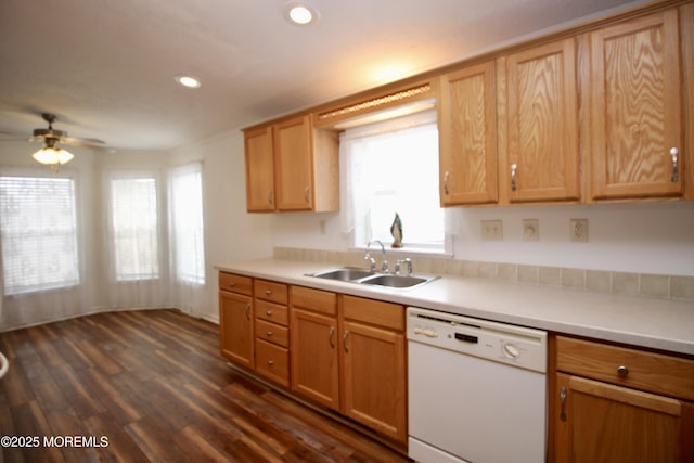 kitchen featuring dark wood-style flooring, light countertops, a ceiling fan, white dishwasher, and a sink