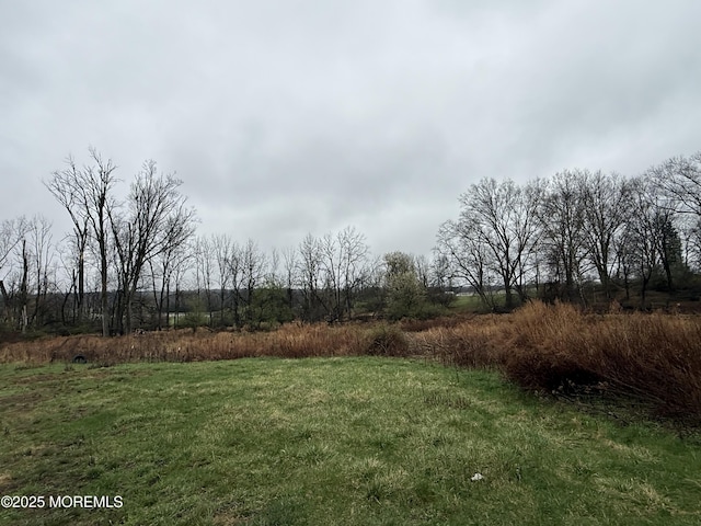 752 Amwell Rd, Hillsborough, NJ 08844 - view of yard with a rural view