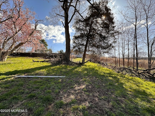 752 Amwell Rd, Hillsborough, NJ 08844 - view of yard