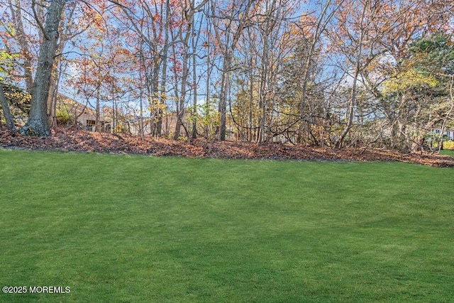 1396 Gleniffer Hill Rd, Toms River, NJ 08755 - view of yard