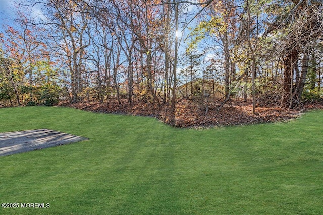 1396 Gleniffer Hill Rd, Toms River, NJ 08755 - view of yard