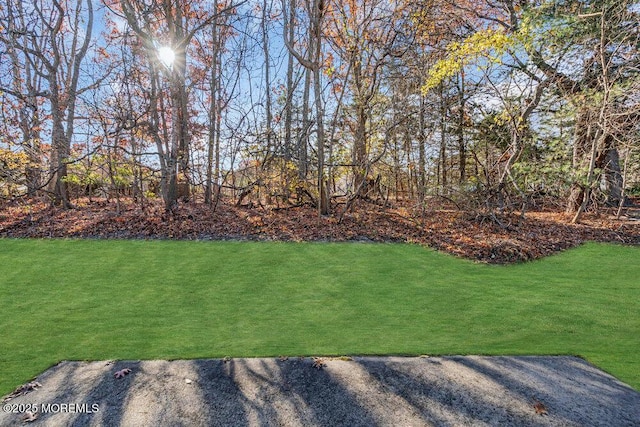 1396 Gleniffer Hill Rd, Toms River, NJ 08755 - view of yard
