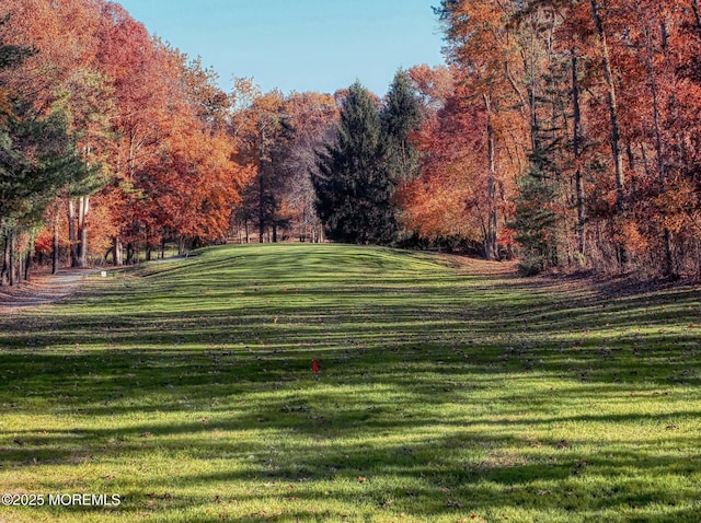 1396 Gleniffer Hill Rd, Toms River, NJ 08755 - view of home's community with a yard