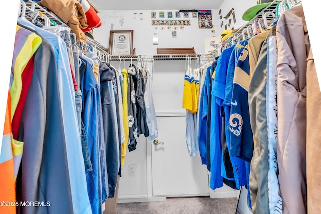 walk in closet with carpet floors