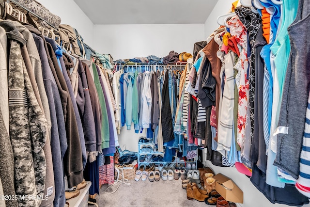 spacious closet featuring carpet flooring