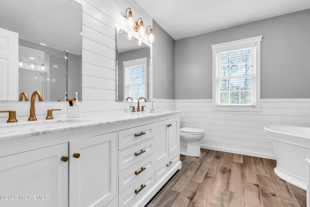 full bathroom with a shower stall, plenty of natural light, wainscoting, and a sink