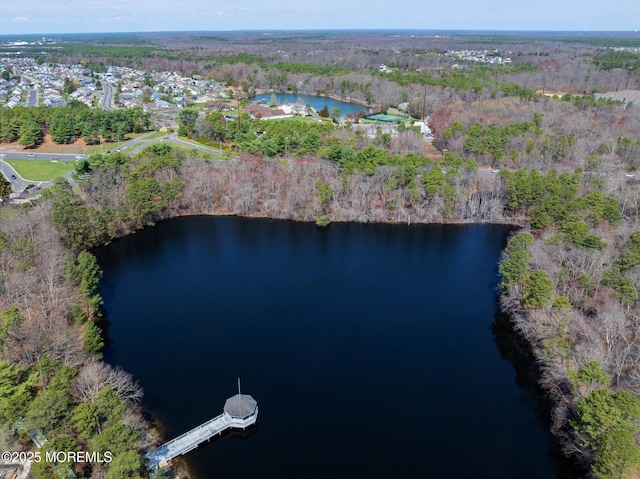 bird's eye view with a wooded view and a water view