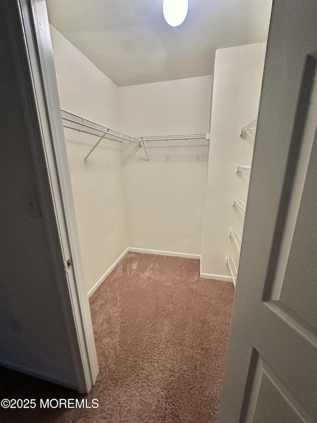 96 Drew Ct, Manalapan, NJ 07726 - walk in closet featuring carpet floors