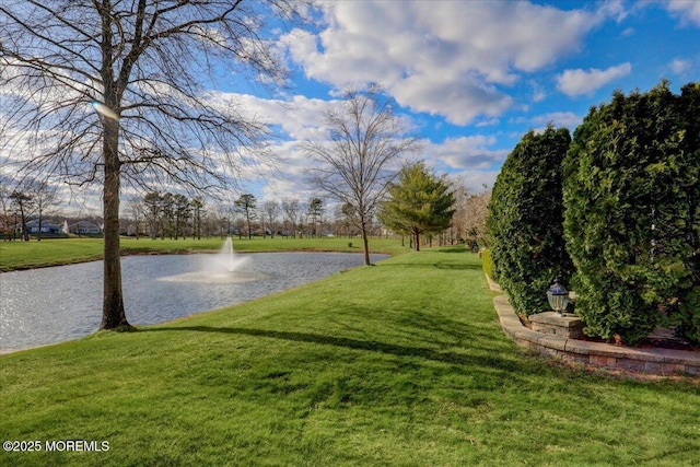 view of home's community with a yard and a water view