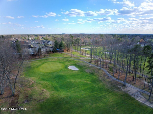 bird's eye view