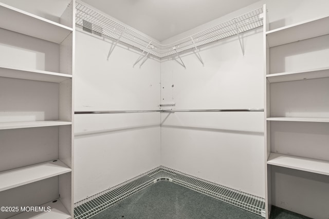 36 New Monmouth Rd, Middletown, NJ 07748 - view of walk in closet