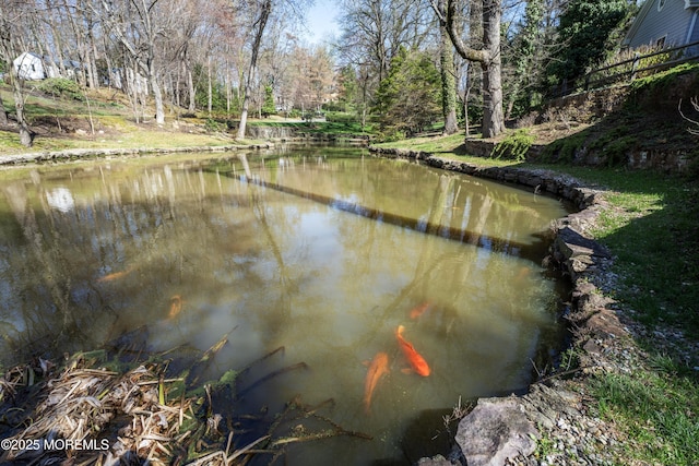 property view of water