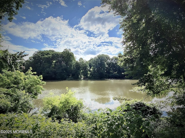 property view of water with a forest view