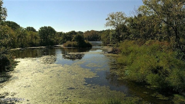 water view with a forest view
