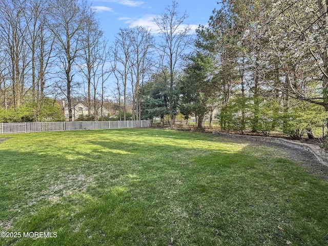 view of yard featuring a fenced backyard