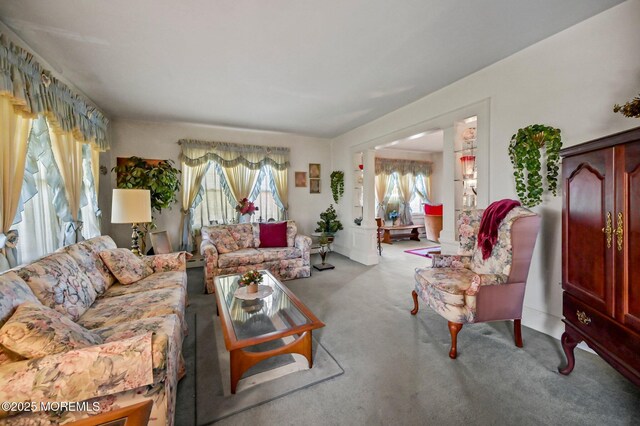 living area with carpet floors