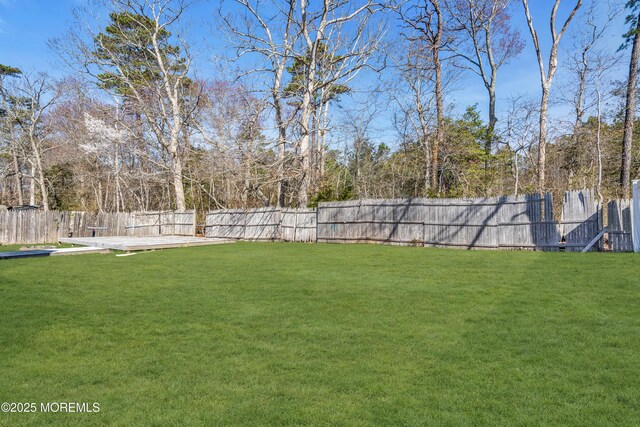 view of yard featuring a fenced backyard