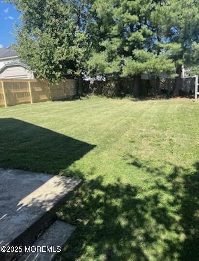view of yard featuring a fenced backyard
