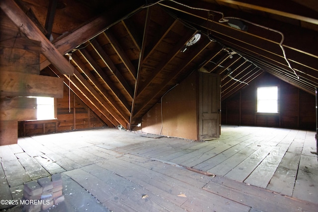 view of attic