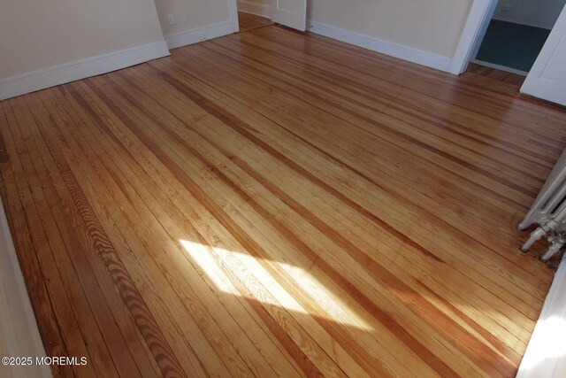 details featuring baseboards and wood finished floors