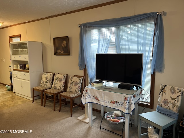 6 Raccoon Ave, Whiting, NJ 08759 - living area with crown molding and a textured ceiling