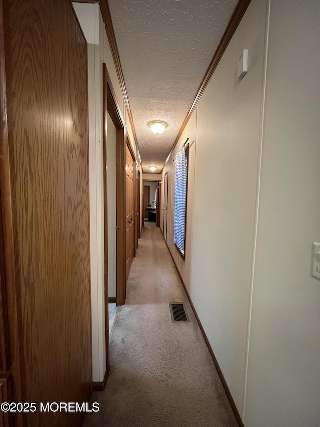 6 Raccoon Ave, Whiting, NJ 08759 - hallway with a textured ceiling, light colored carpet, baseboards, and crown molding