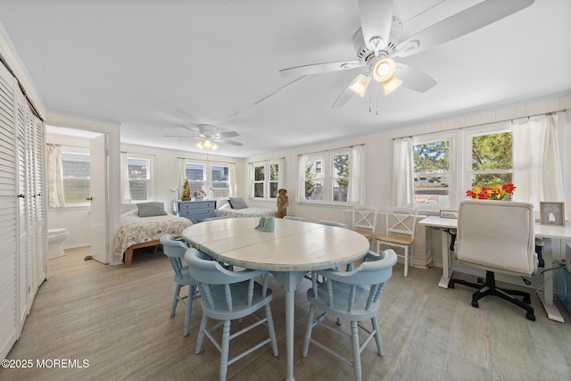 dining area with light wood-style flooring and ceiling fan