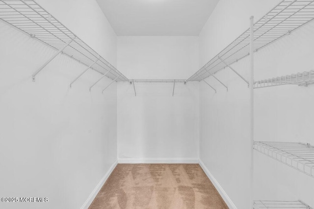 3 Marlborough Ct, Jackson, NJ 08527 - walk in closet with carpet floors