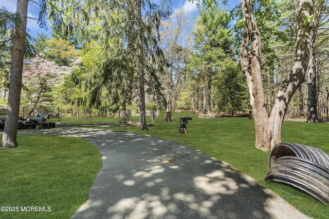 view of community featuring a lawn and aphalt driveway
