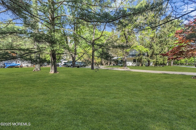 view of yard