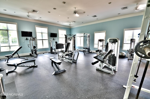 exercise room with visible vents, a ceiling fan, and ornamental molding