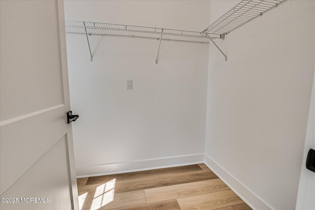 spacious closet featuring wood finished floors
