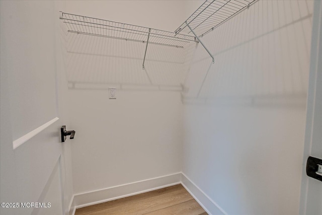 spacious closet with light wood-type flooring