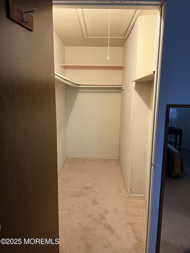 10 Homestead Dr Unit C, Whiting, NJ 08759 - spacious closet featuring light colored carpet and attic access