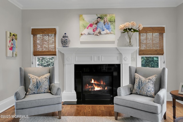 15 Monmouth Ave, Rumson, NJ 07760 - living area featuring a warm lit fireplace, plenty of natural light, wood finished floors, ornamental molding, and baseboards